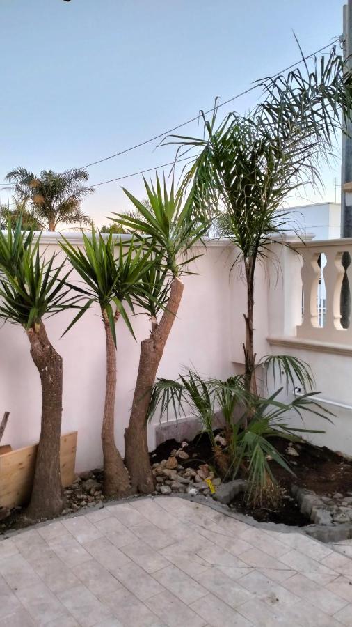 Casa Antonio E Nicoletta Villa Porto Cesareo Ngoại thất bức ảnh