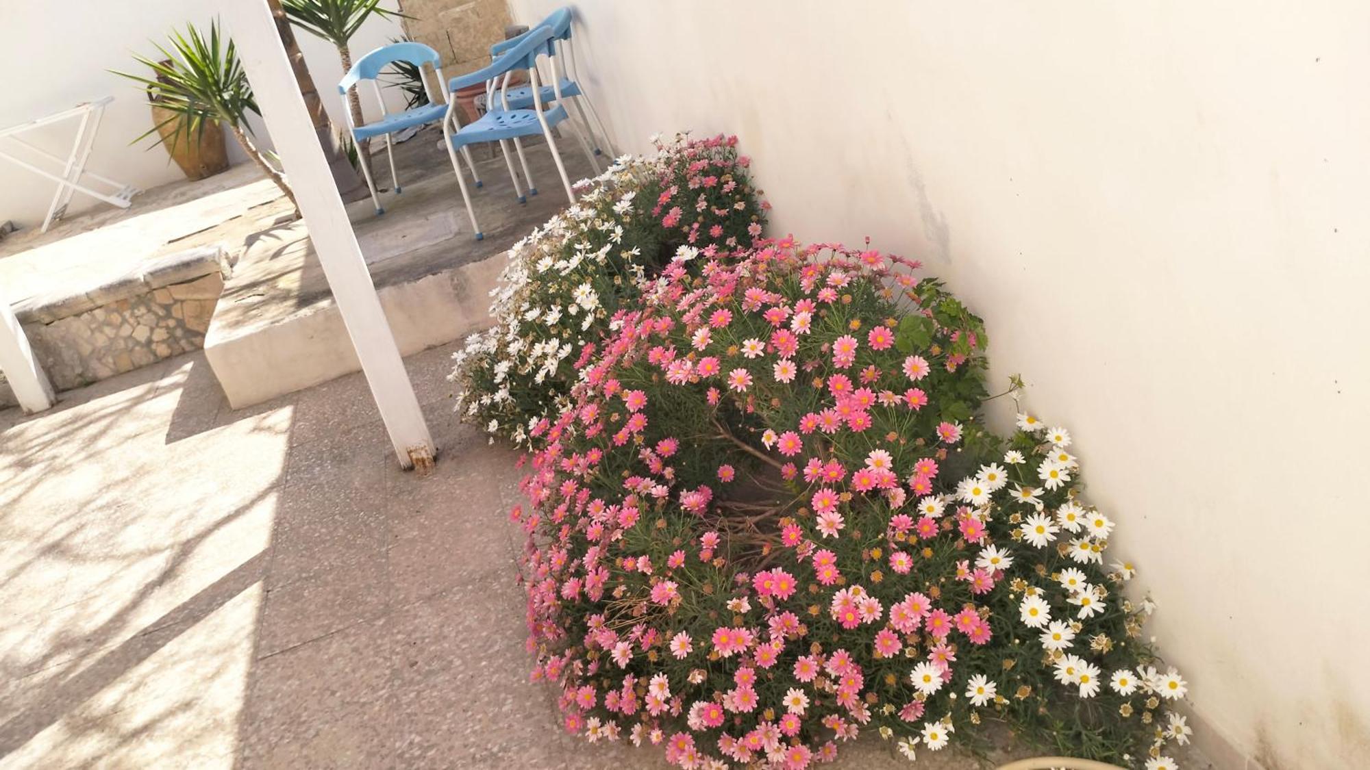 Casa Antonio E Nicoletta Villa Porto Cesareo Ngoại thất bức ảnh